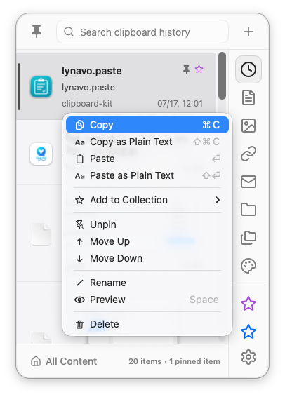 lynavo paste 条目详情截图